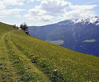 Mountains and green path